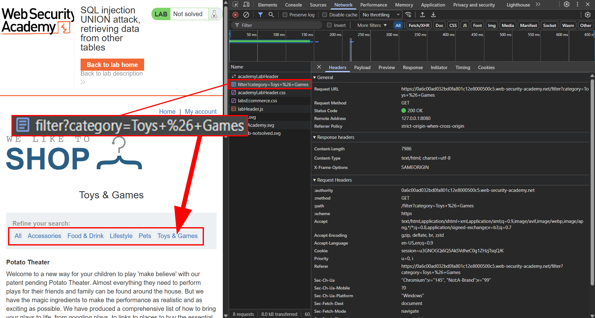 PortSwigger SQL injection fail