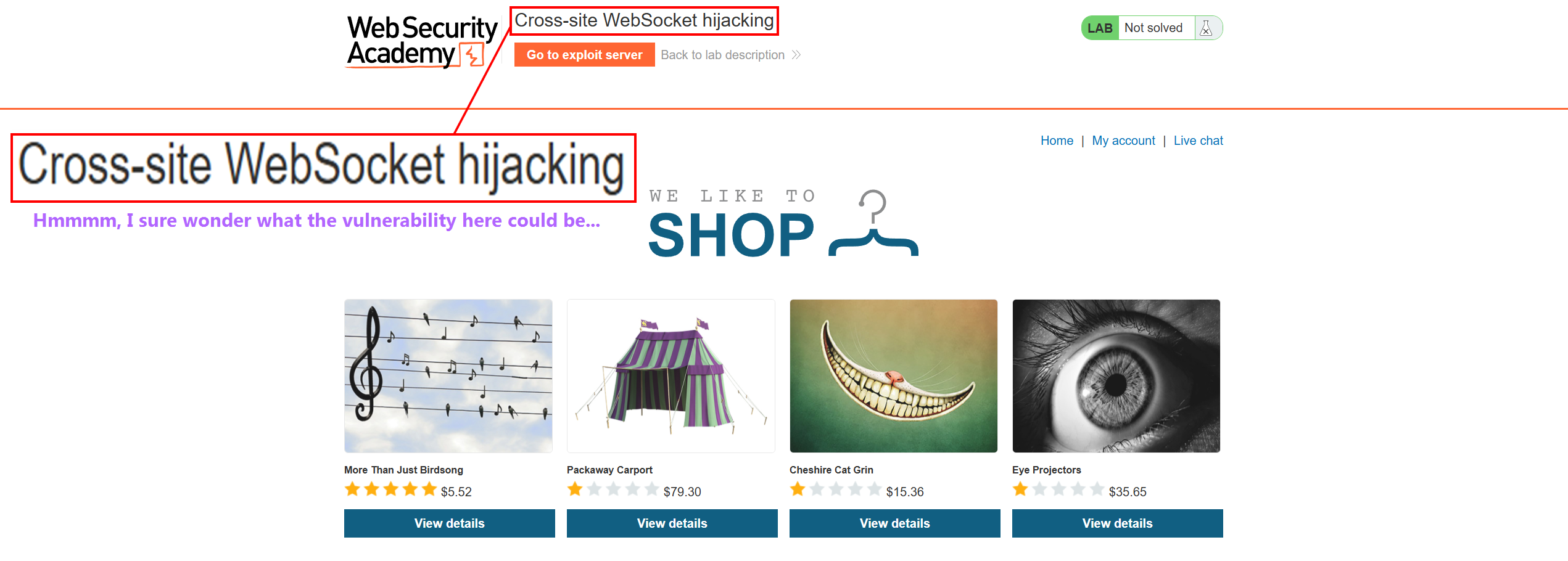 PortSwigger standard lab view